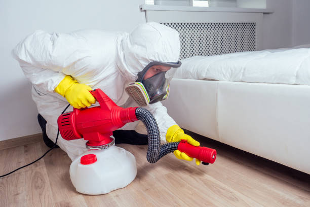 Best Bed Bug Extermination  in Warren, PA