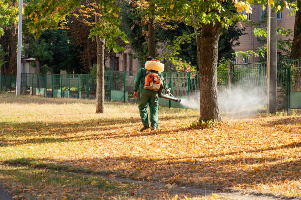Best Mosquito Control Services  in Warren, PA